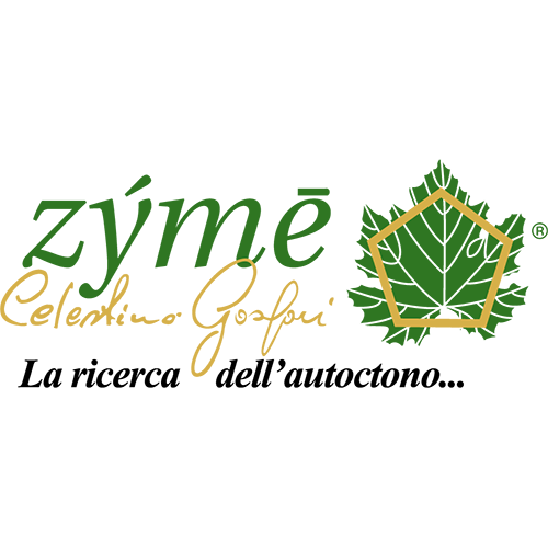 Zýmē